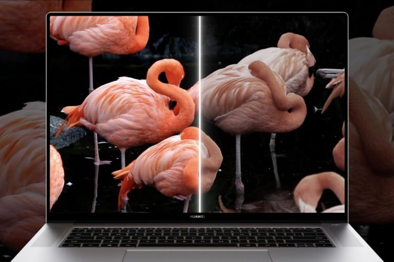 هواوی میت بوک 16 معرفی شد